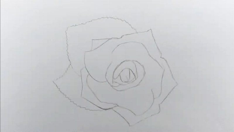 Realistic Rose Drawing: Ultimate Step-by-Step Guide for Beginners ...